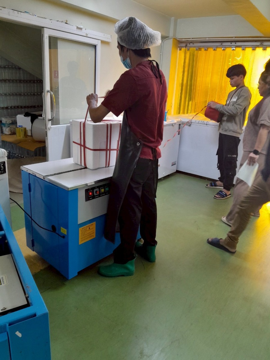 เครื่องรัดกล่อง รุ่น WE-801H